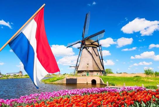 Sales: Netherlands DID Voice Lines